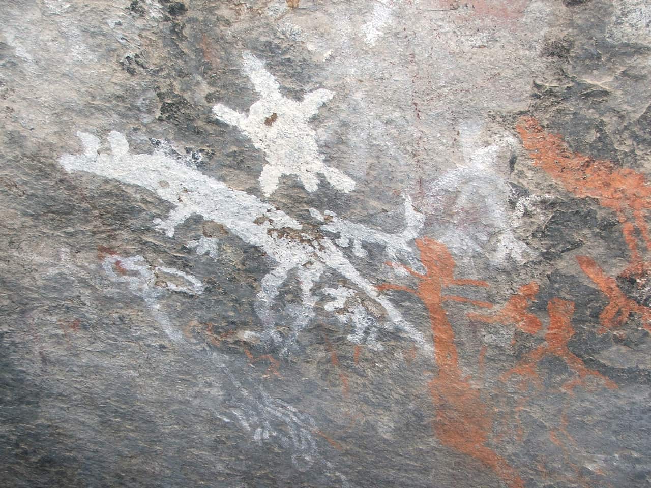 Yankee Hat aboriginal rock painting featuring a Kangaroo, Dingos, Emus, Humans and an Echidna or Turtle.