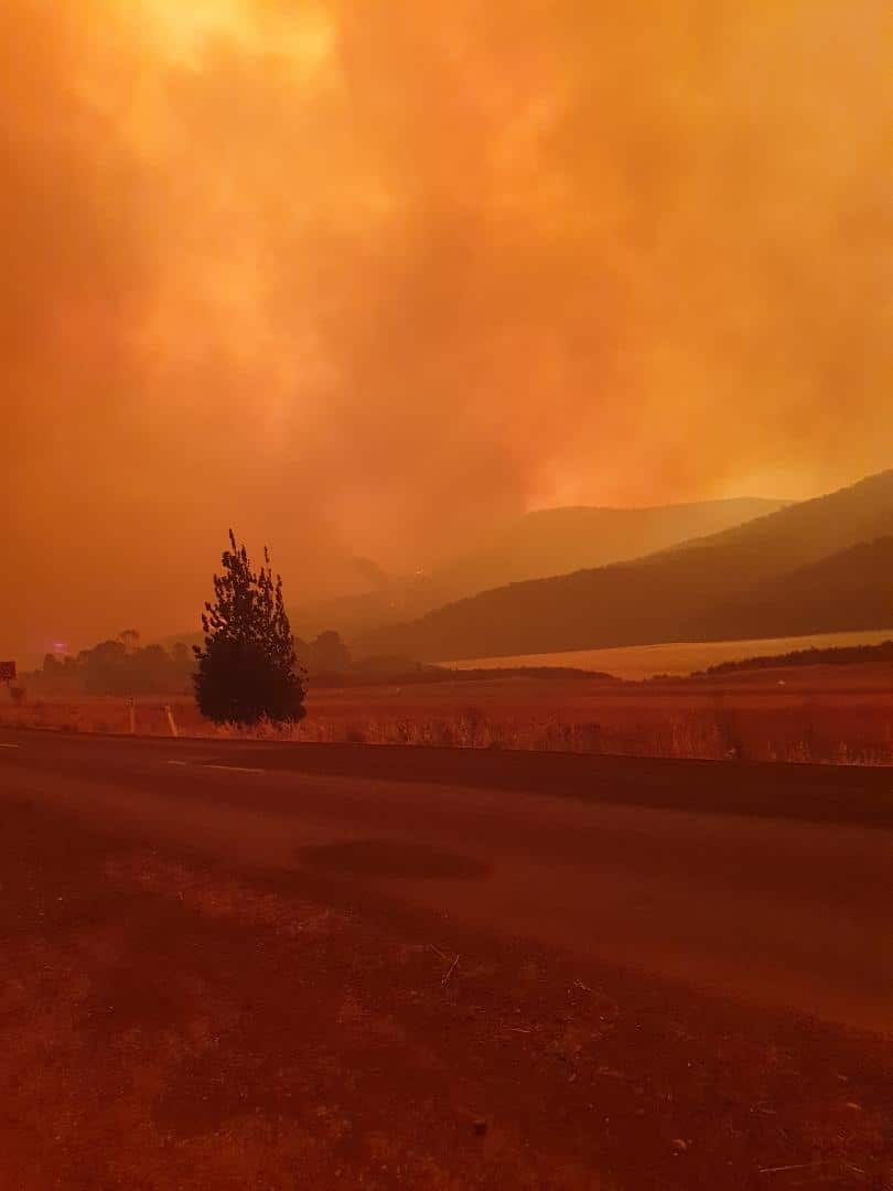 Zaklina Mihajlova, Talbingo fire,