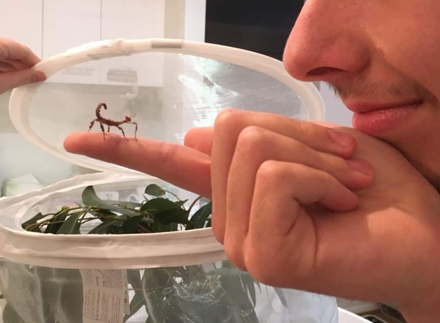 a mobile zoo-teaching children about wildlife 