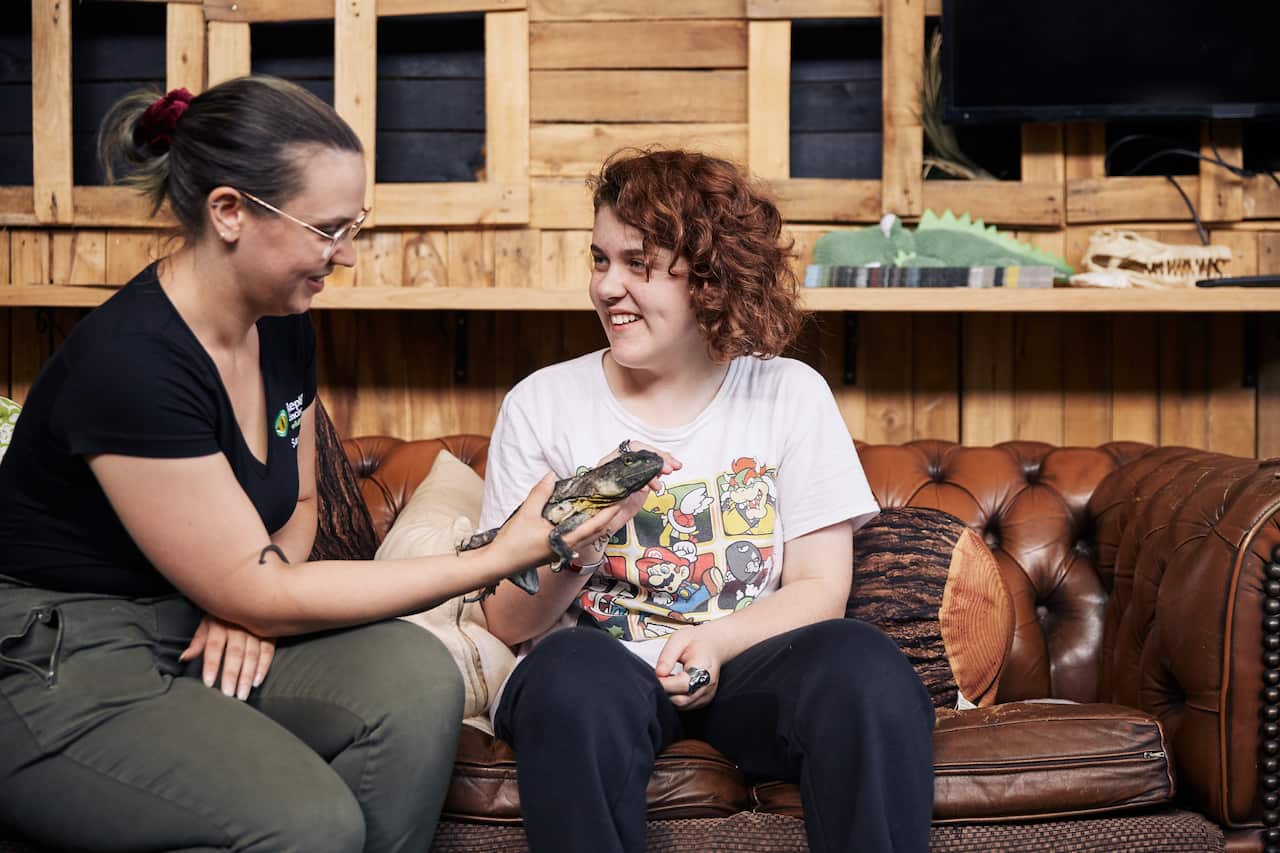 a mobile zoo-teaching children about wildlife 