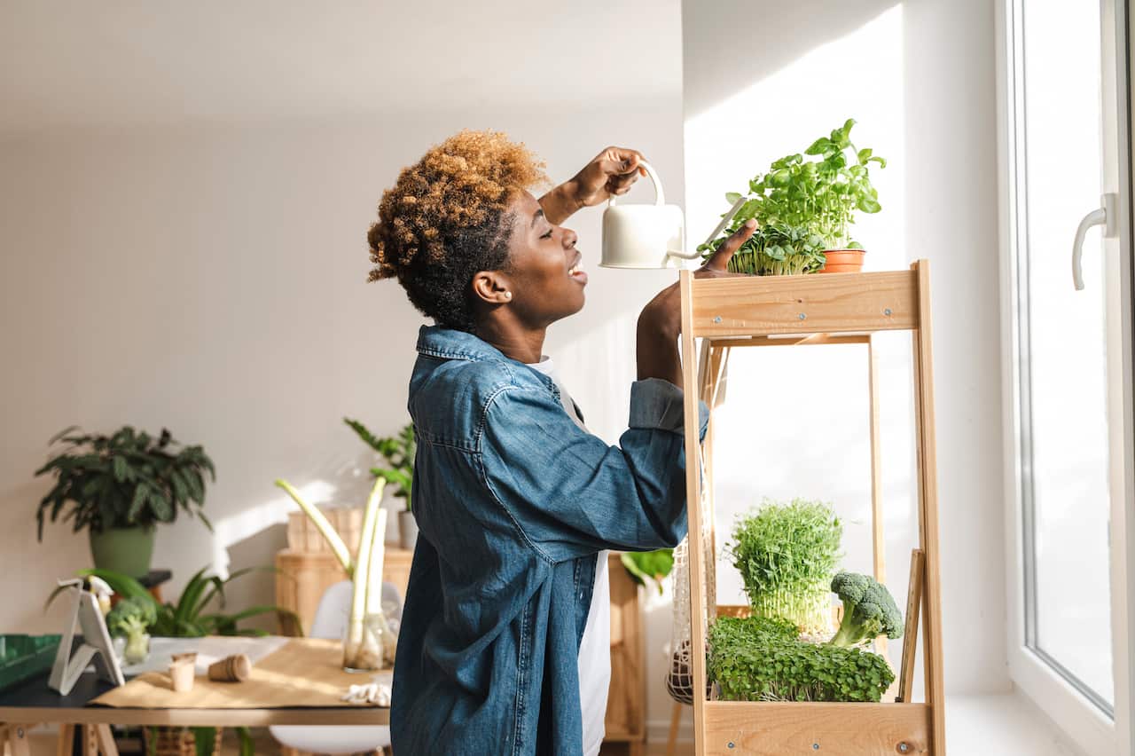 Young woman watering green plants on shelf at home