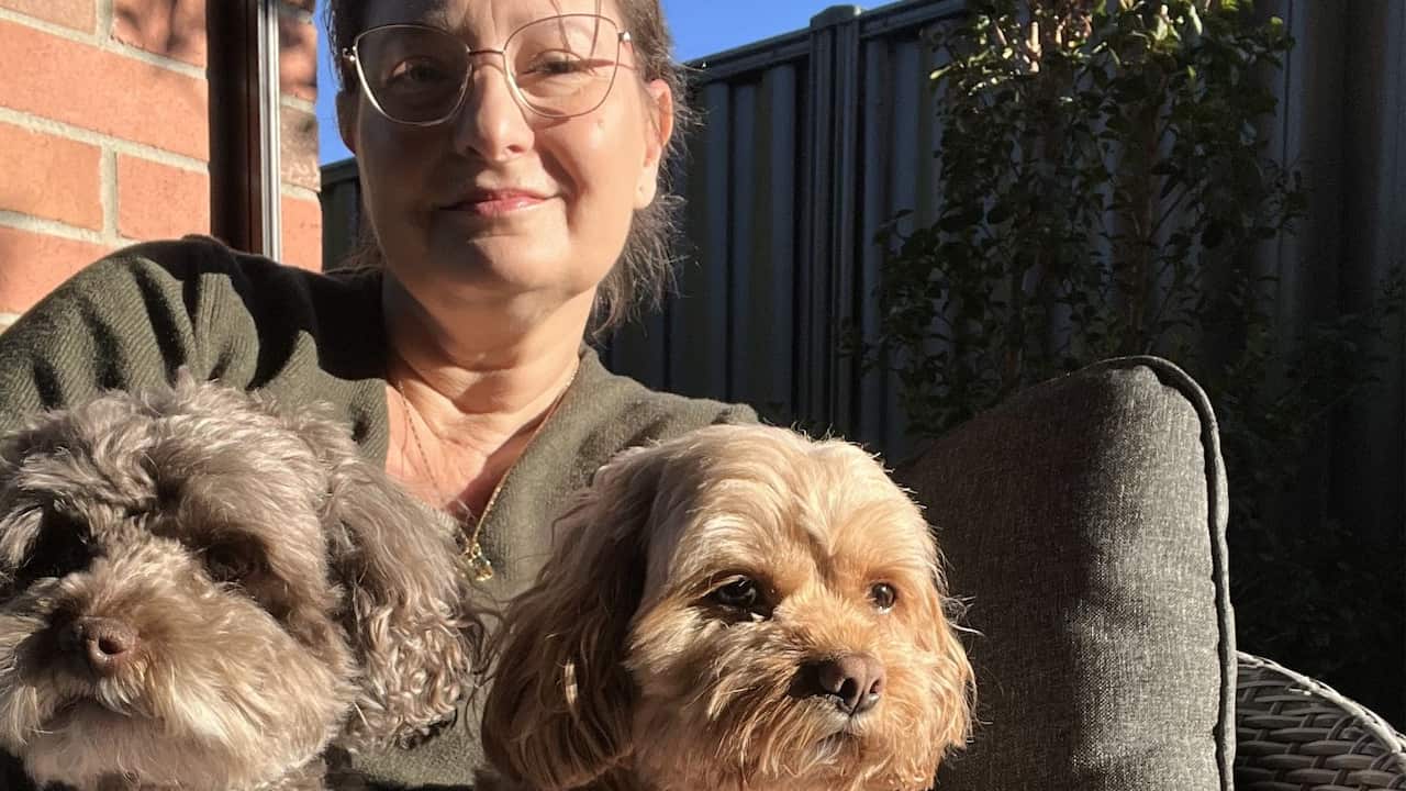 A middle aged woman sitting outside with two brown fluffy dogs on her lap