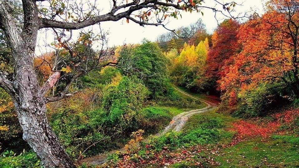 Stari komiti - Oreovo.jpg