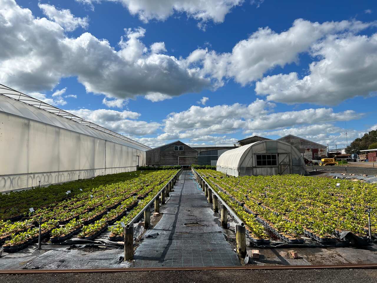 Photo 10-10-2022, 4 01 34 pm.jpg