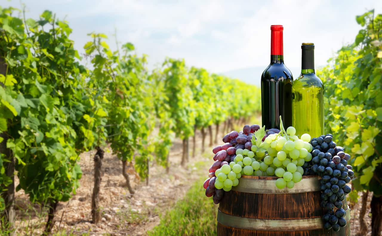 Red and white wine bottles and colorful grapes on wine barrel