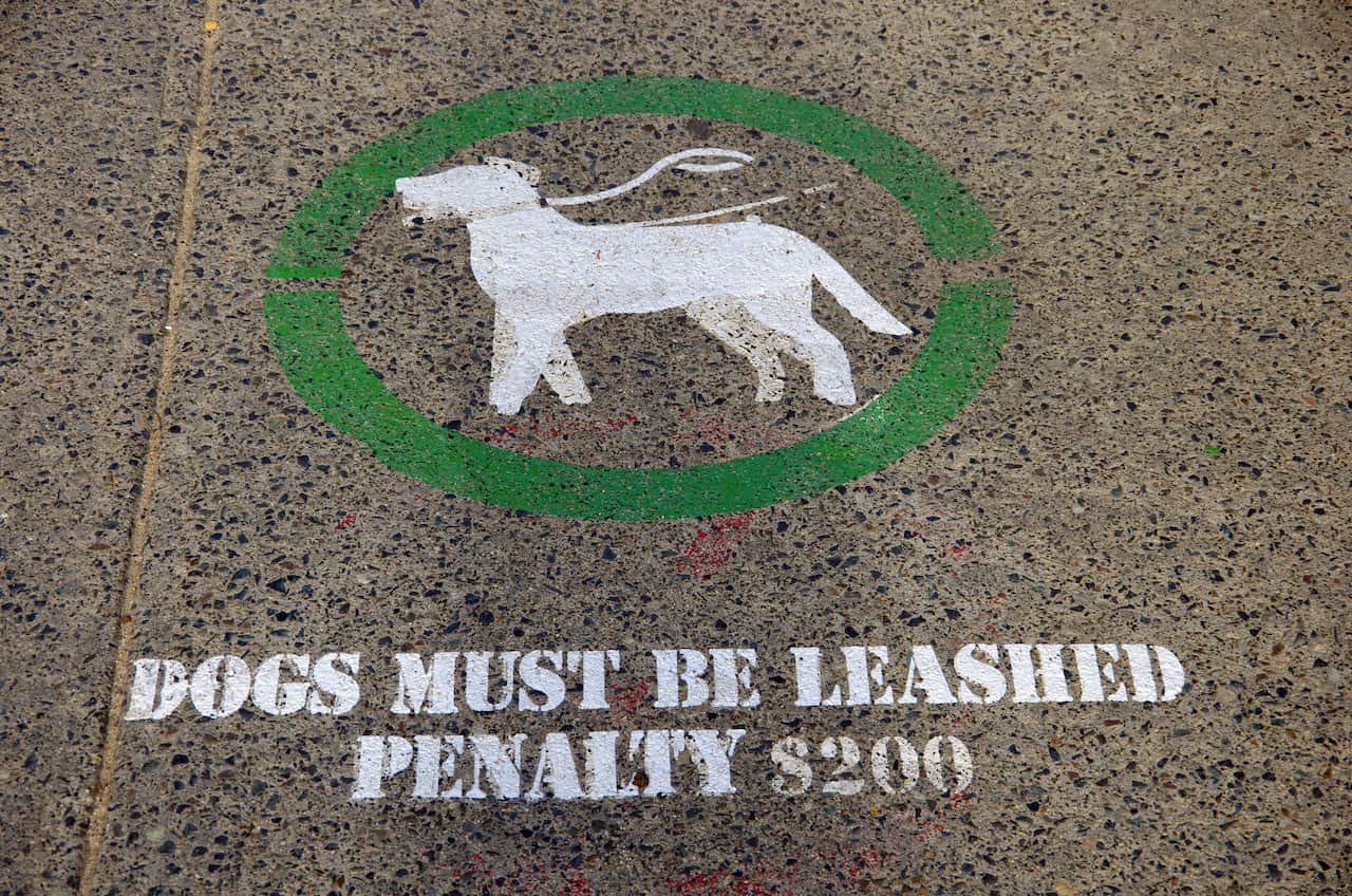 'Dogs must be leashed: Penalty $200' sign stencilled on a concrete footpath