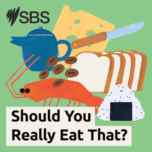 Should you really eat that.png
