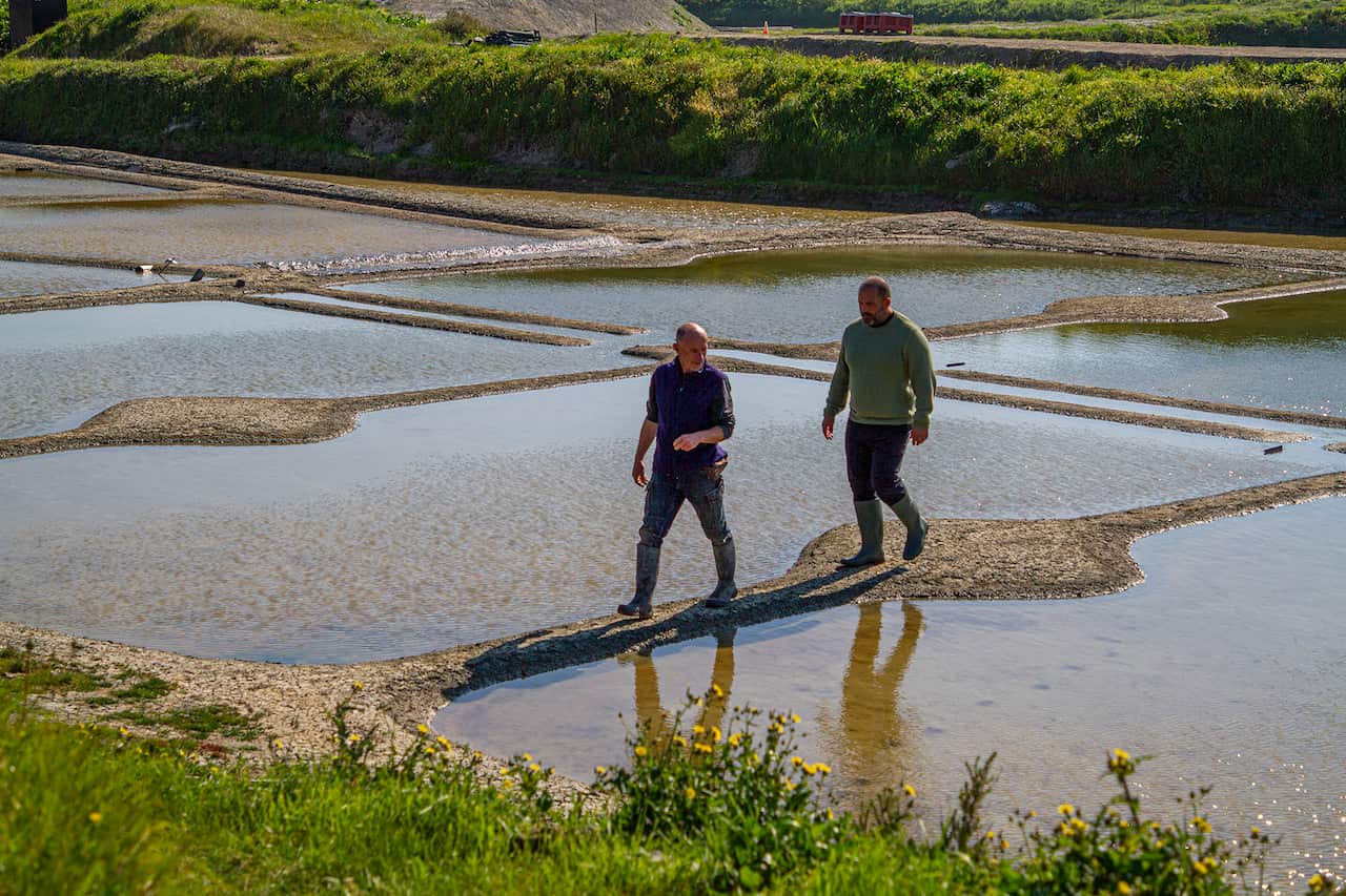 Two men walk across a narrow path, with shallow watery ponds on either side.