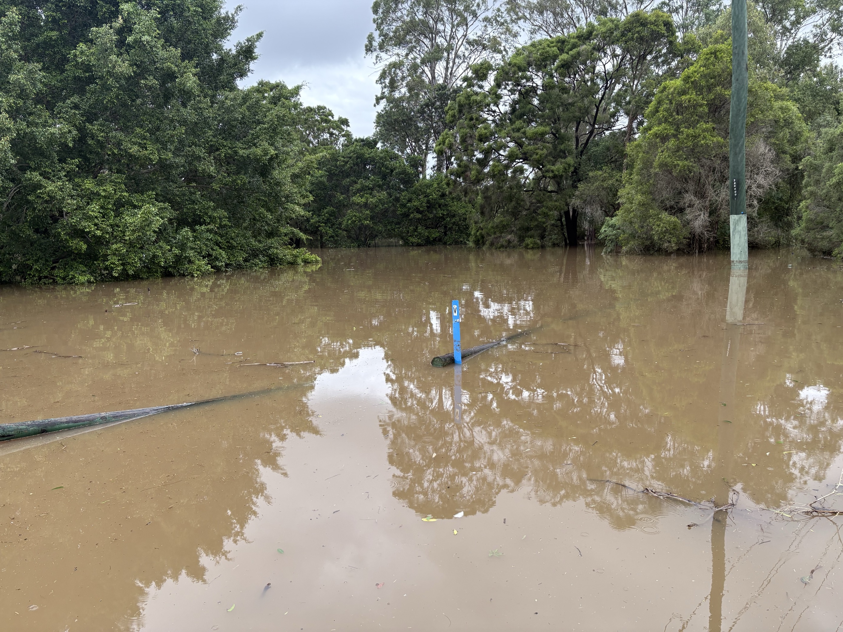 A flooded area with rising water reaching power lines and submerging trees.