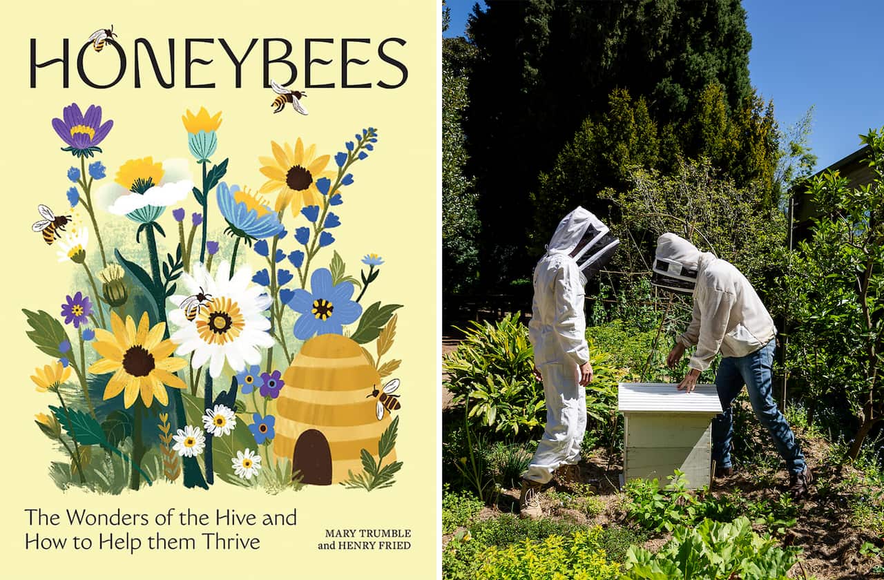 Honeybees book and beekeepers.jpg