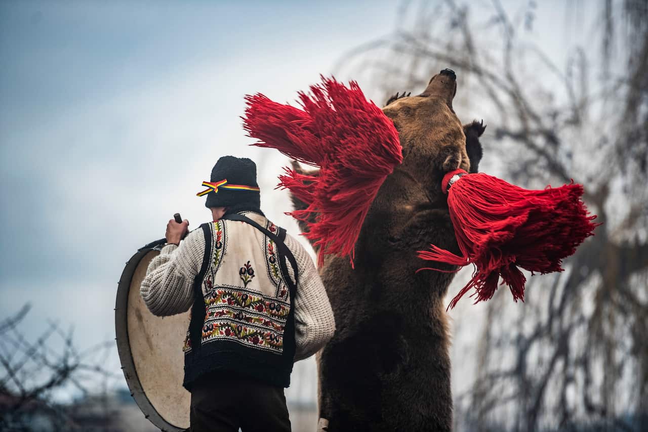  A person dressed in a bear costume is dancing while another man is playing a musical instrument. 