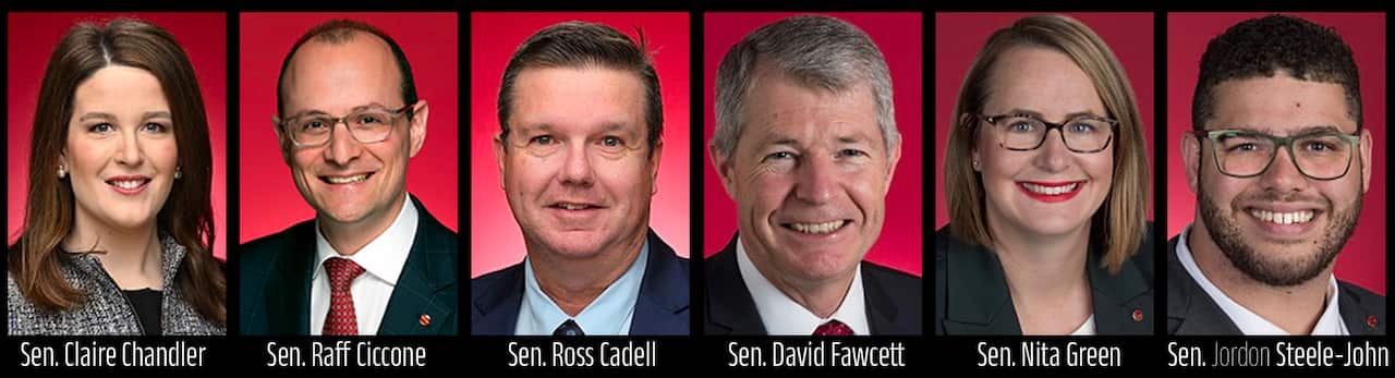 Senate Committee.jpg
