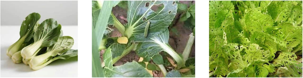 Screenshot 2026-03-13 121451.png