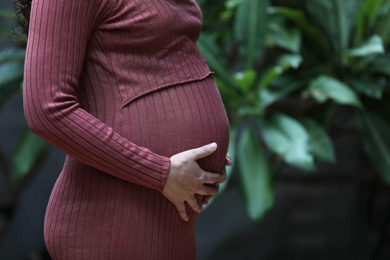 A woman in a knitted purple dress holds her pregnant belly in front of a vine trellis