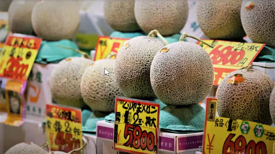 The prime minister was gifted Shizuoka Crown Melons, a premium muskmelon known as the king of fruits in Japan..png