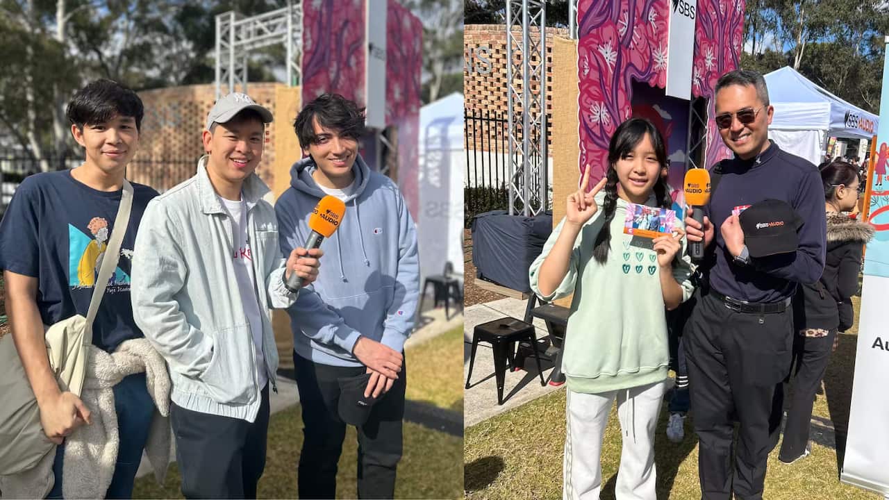 Untitled design (2).png