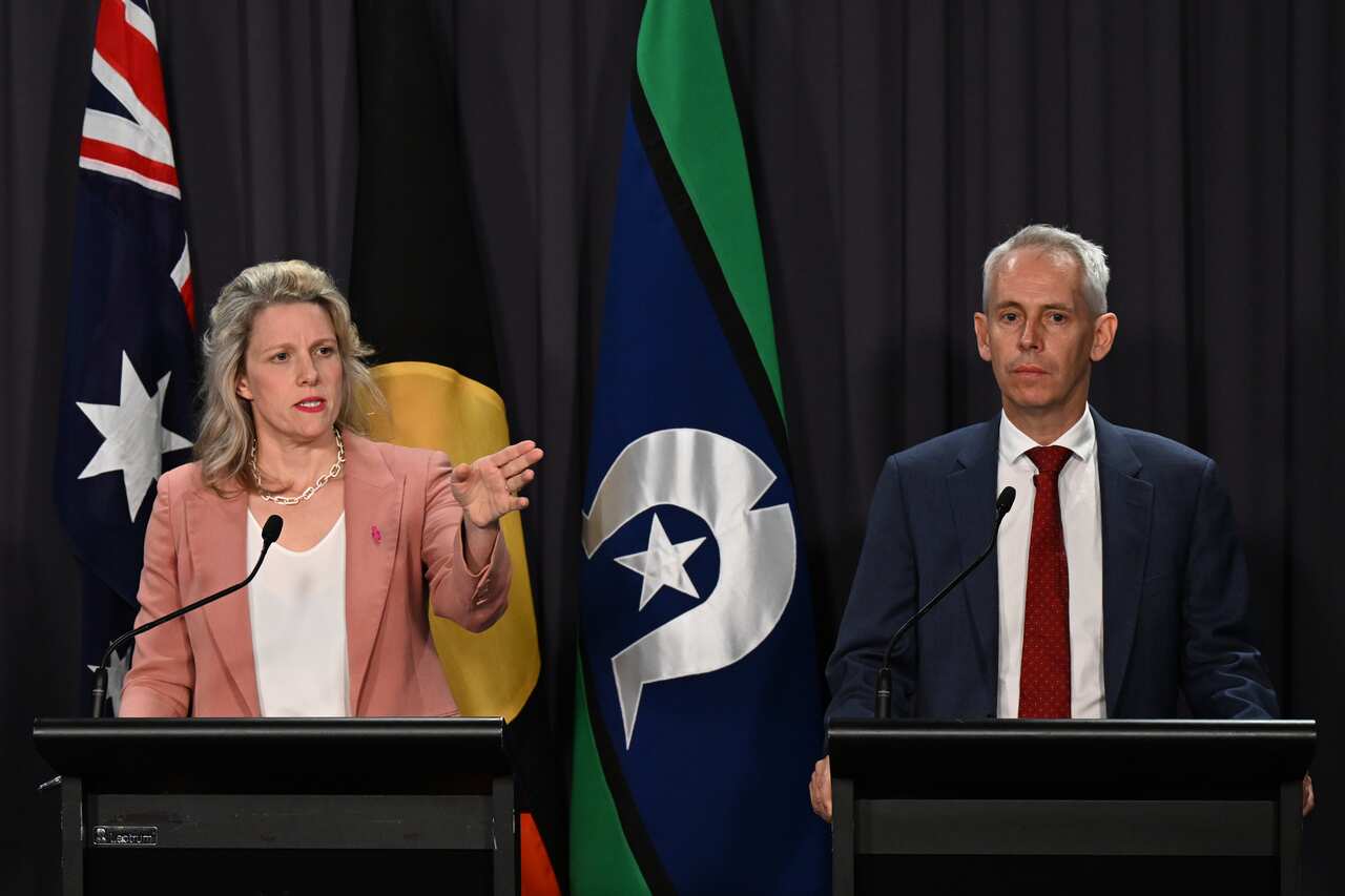 Clare ONeil (left) and Andrew Giles (right) standing behind lecterns at a press conference.