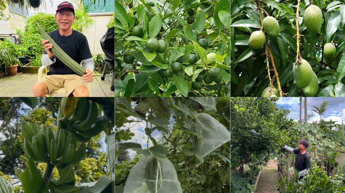 Central Coast retiree, Roland Blancaflor and his plants at his backyard.