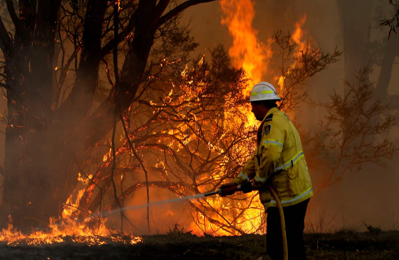 A firefighter hoses down a bushfire