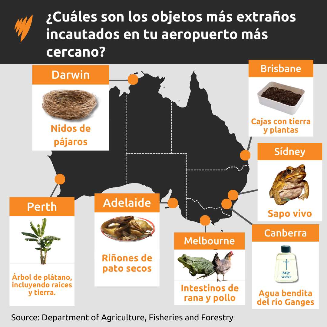 WEIRD ITEMS SEIZED GFX 1.png