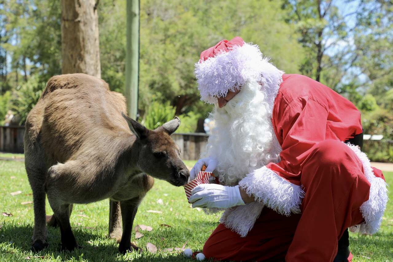 Santa visits the Australian Reptile Park