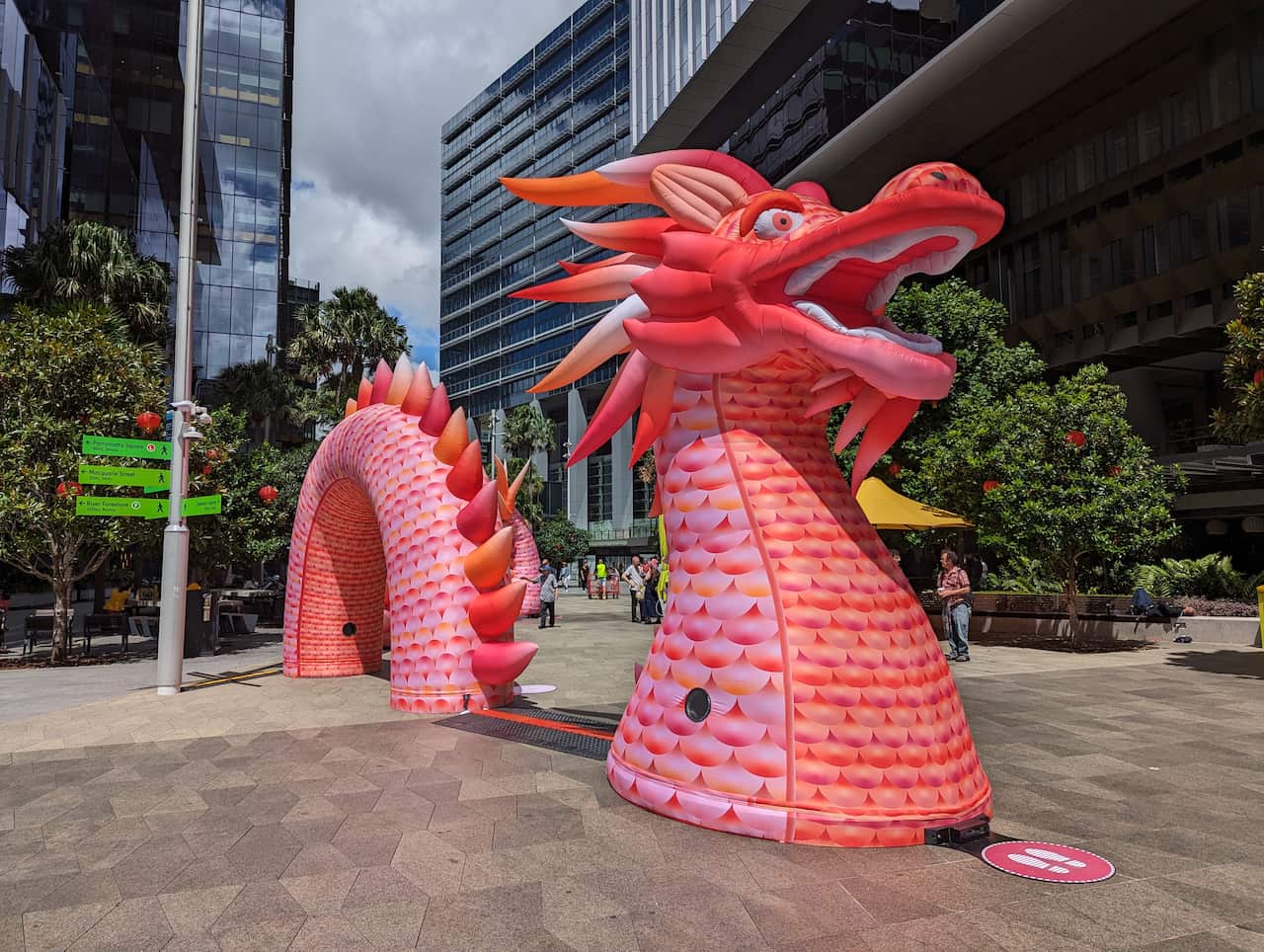 Year of Dragon Parramatta 