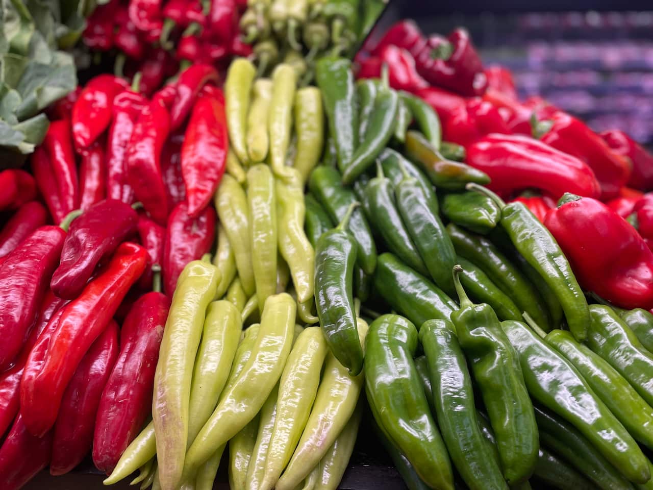 Chilli.jpeg