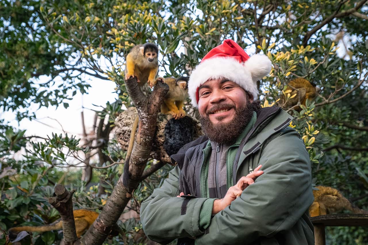 A smiling man wearing a Christmas hat stands in front of a tree with a small, cute animal peering down at him.