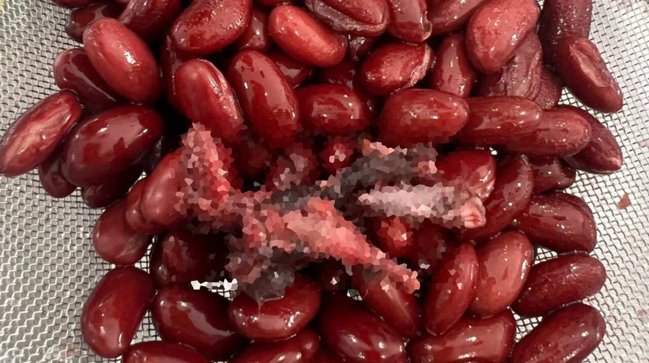 螢幕擷取畫面 2024-03-06 093609.jpg