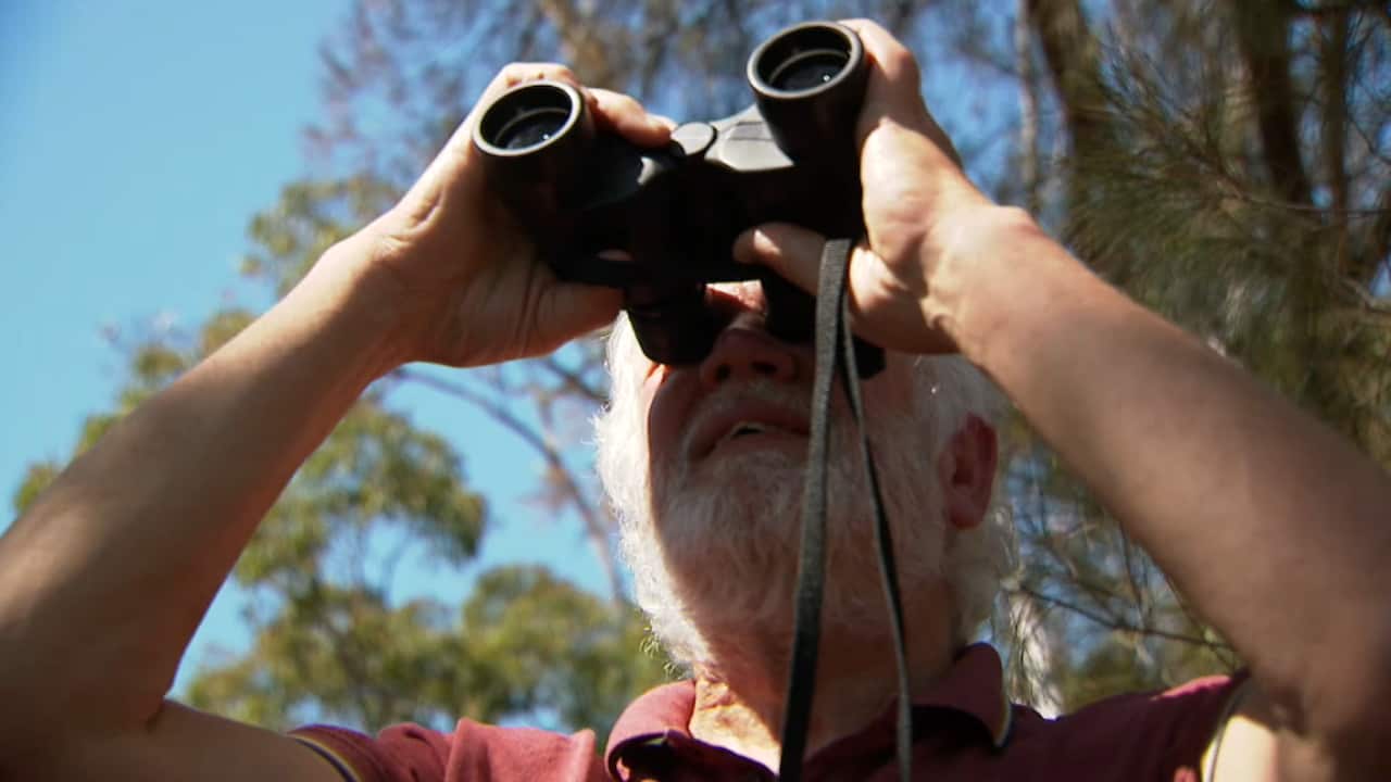 A man looking up through binoculars 