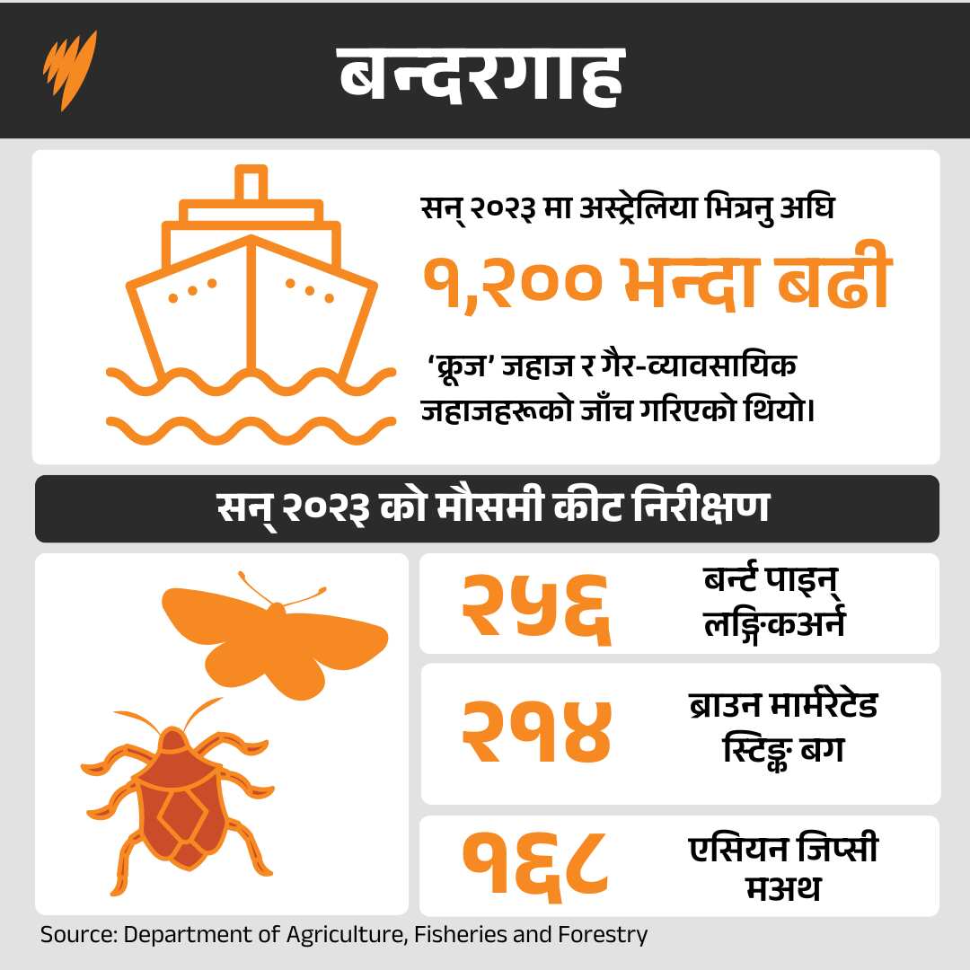 WEIRD ITEMS SEIZED GFX 3.png