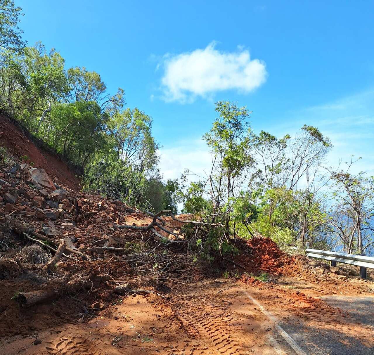 Collapsed dirt and foliage covering a coastal road. 