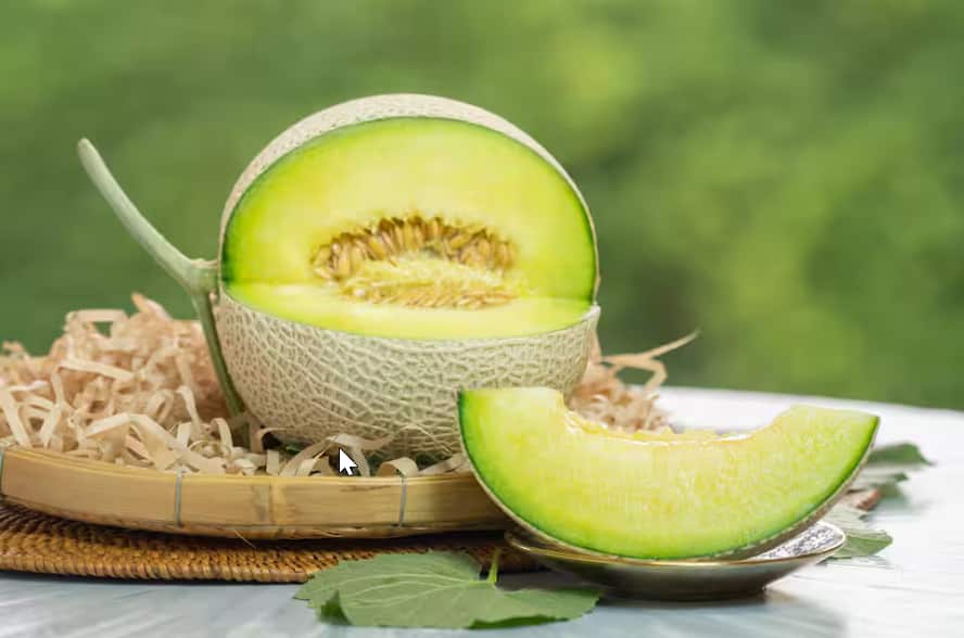 Shizuoka Crown Melons are considered by some in Japan as closer to an art form than a fruit..png