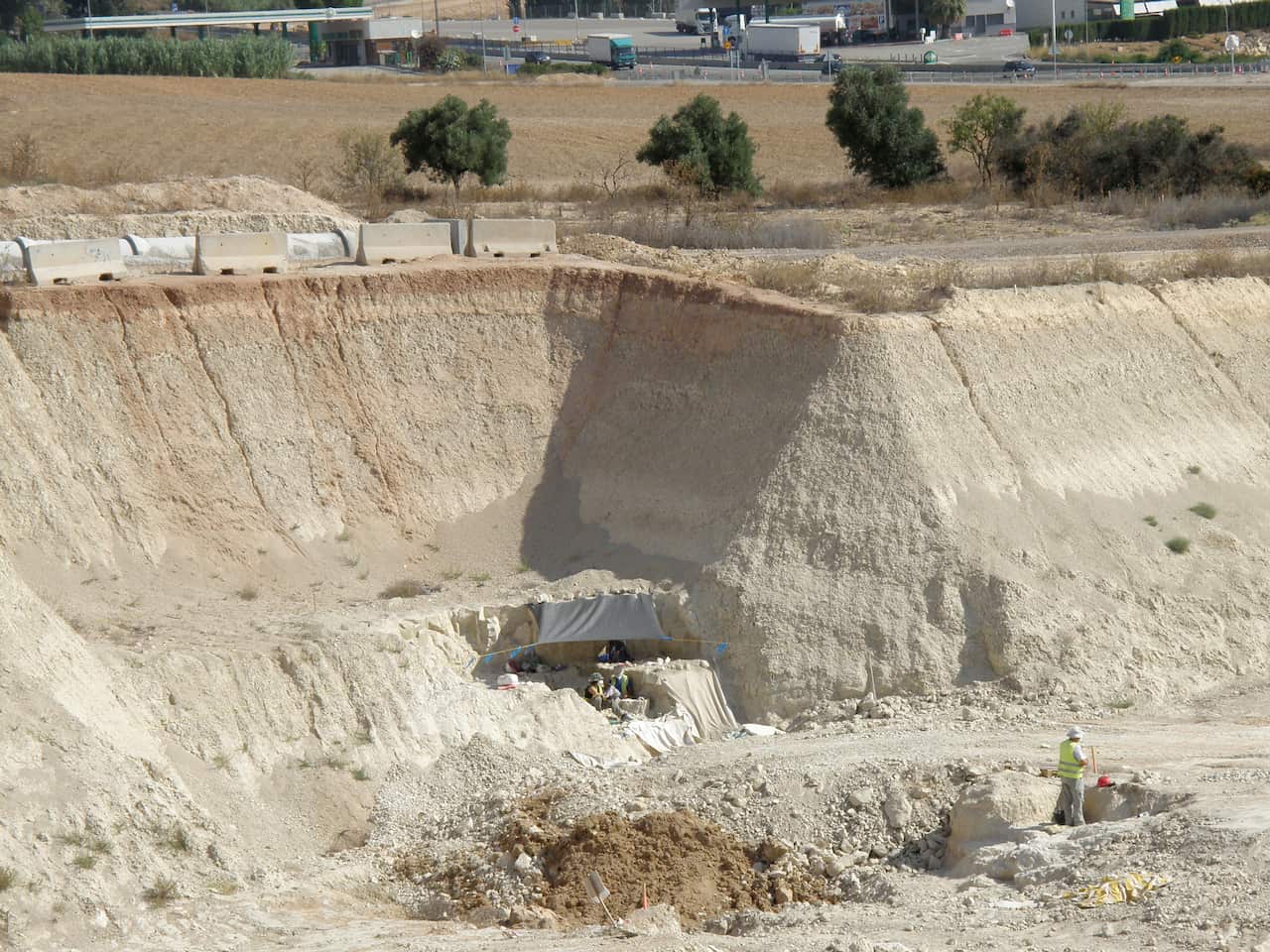 Encuentran en España yacimiento paleontológico con 6.600 registros fósiles de unos siete millones de años de antigüedad