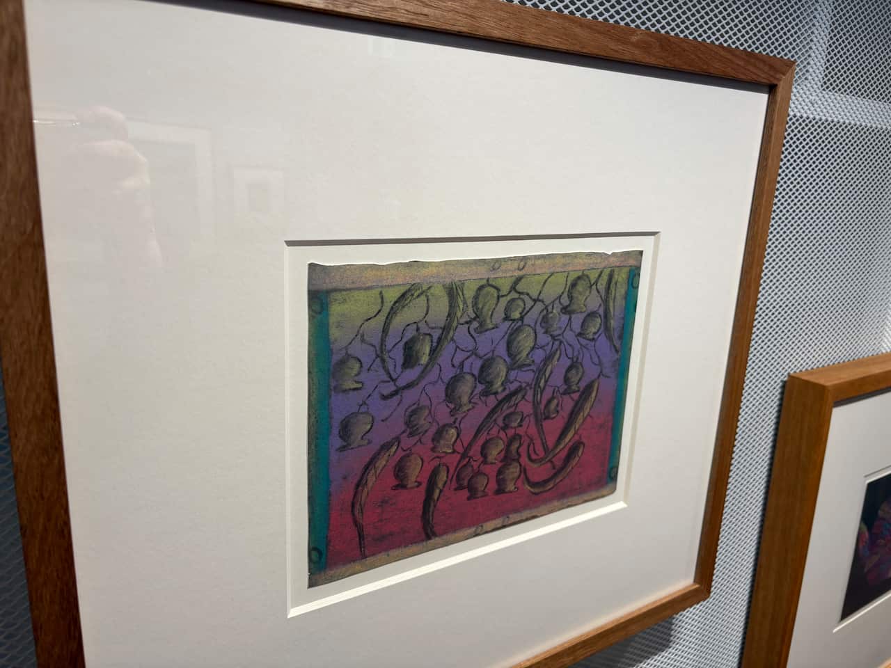 A framed illustration of gumnuts hanging on a wall.