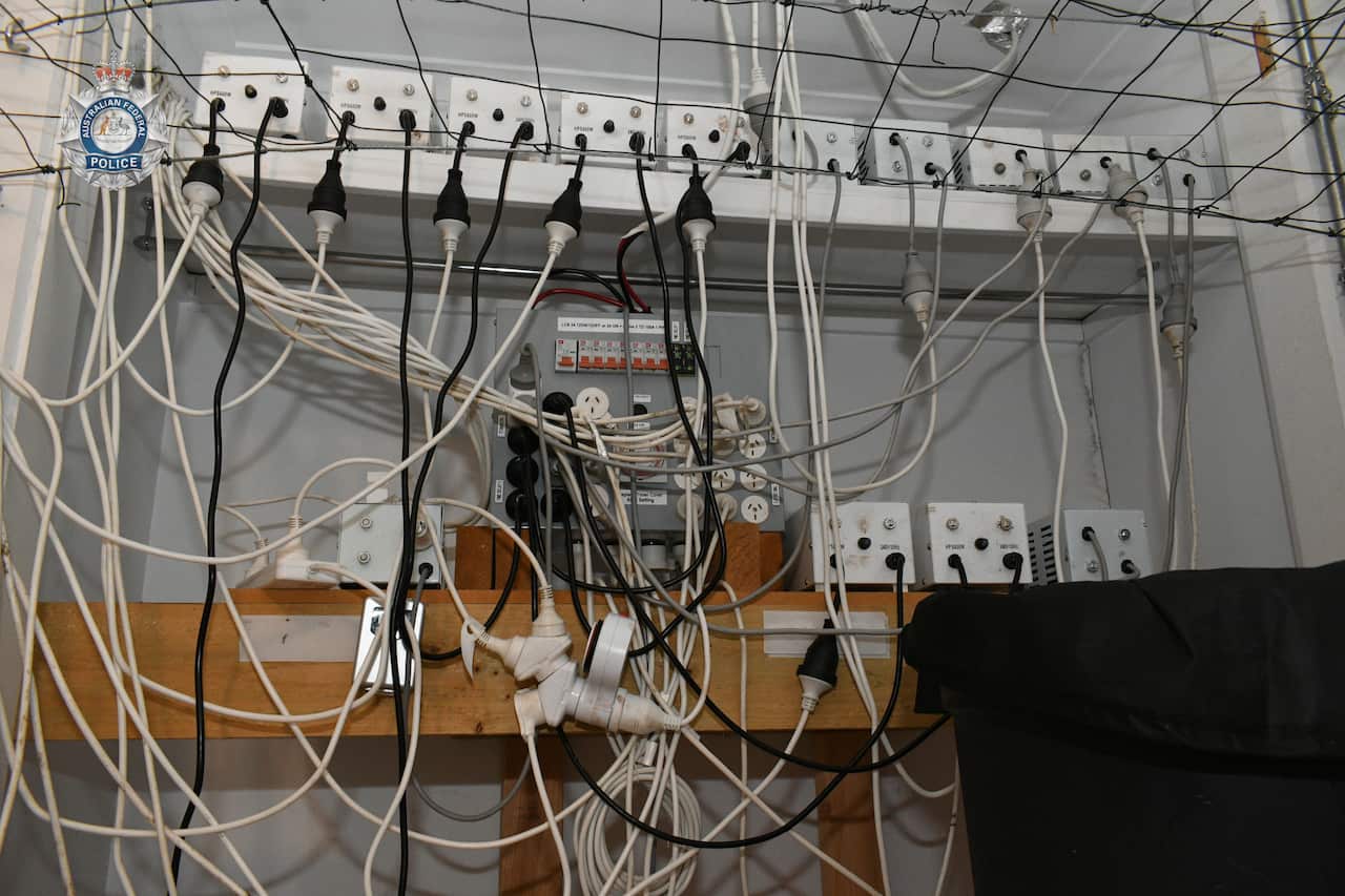 Further search warrants were executed on two additional alleged grow houses in the suburbs of Burwood East and Keysborough, where detectives seized 44.6kg of cannabis, including 20 plants and 11 seedlings.