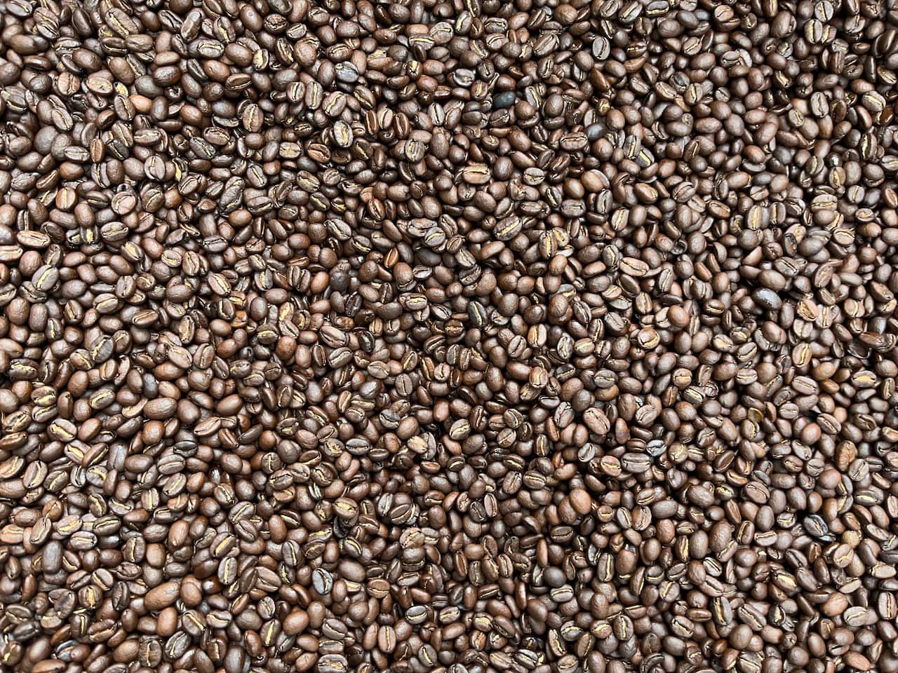 Brown coffee beans massed on a table.