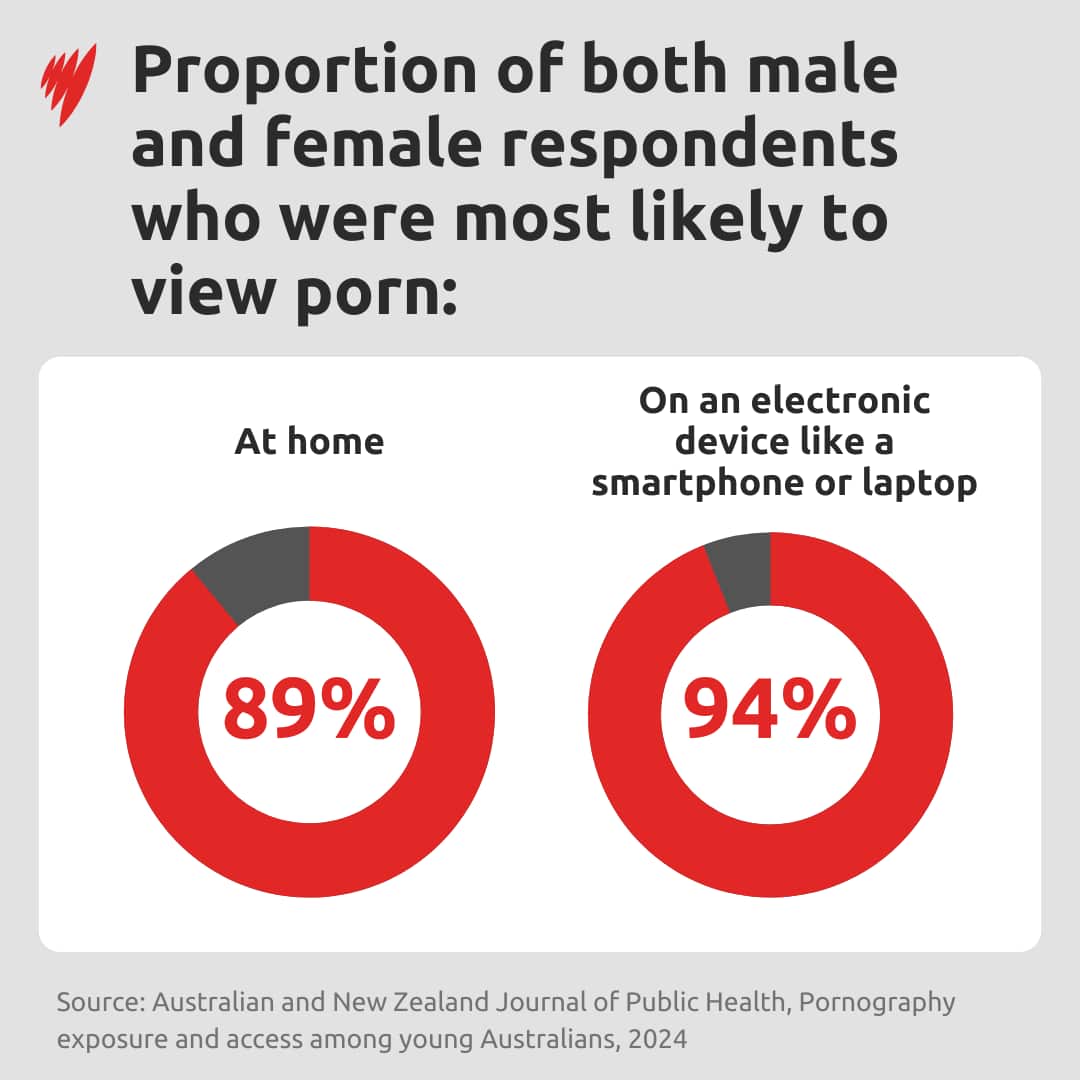 Two pie charts showing the proportion of male and female youth who watch pornography at home and on various electronic devices. 