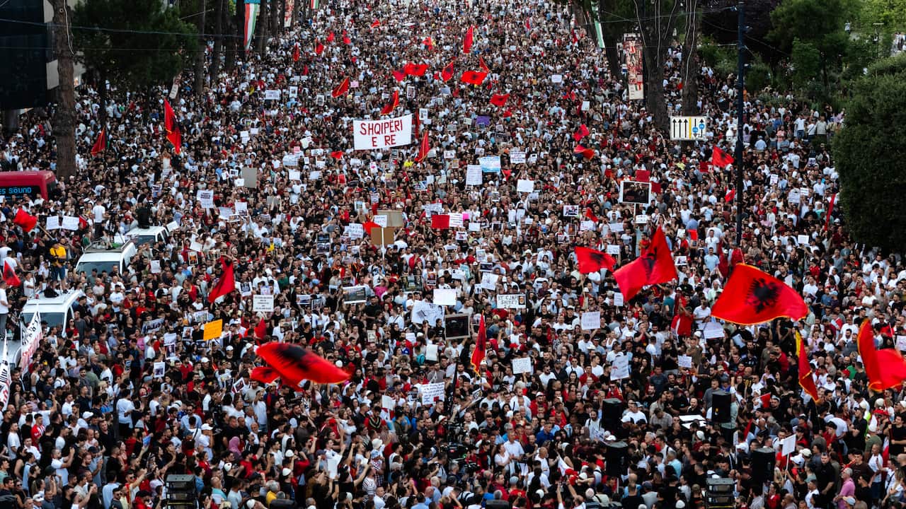 Thousands of people protesting in a tree-lined street, carrying Albanian flag banners.