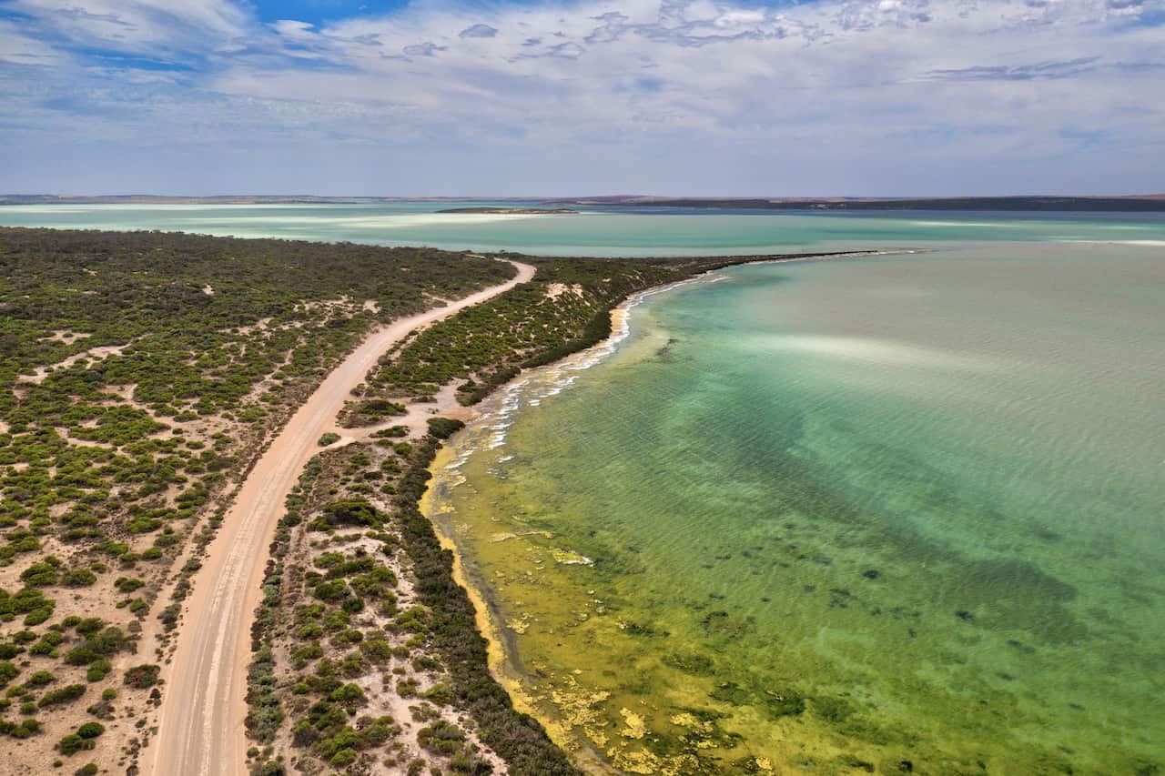 Aerial view over Baird Bay and dirt roads - Baird Bay, South Australia