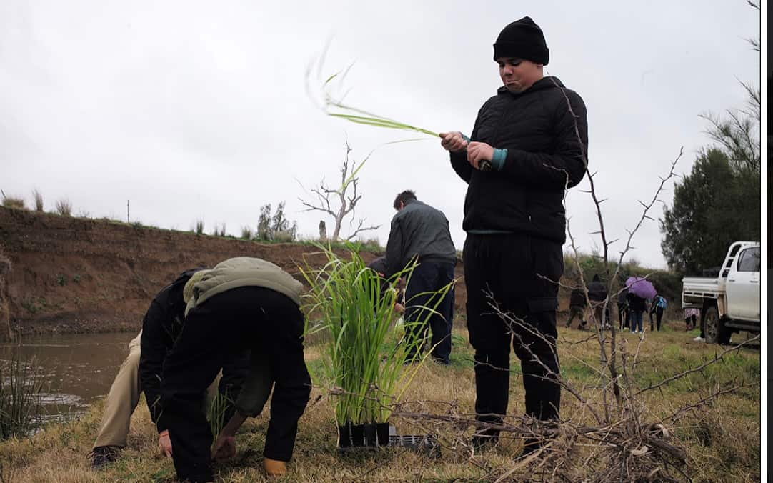 Credited by Tamworth 原住民土地委员会.jpeg