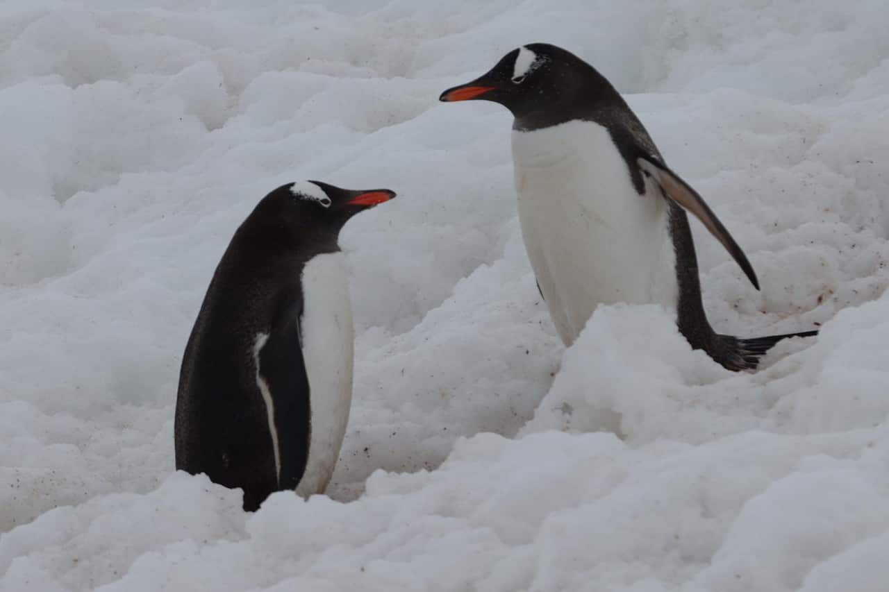 PHOTO-2023-03-23-16-02-04 8.jpg