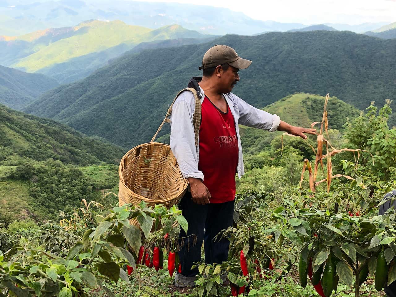 Mexico - Agua Blanca Credit Frédérique Ménard Aubin IMG_6174 copy.jpg