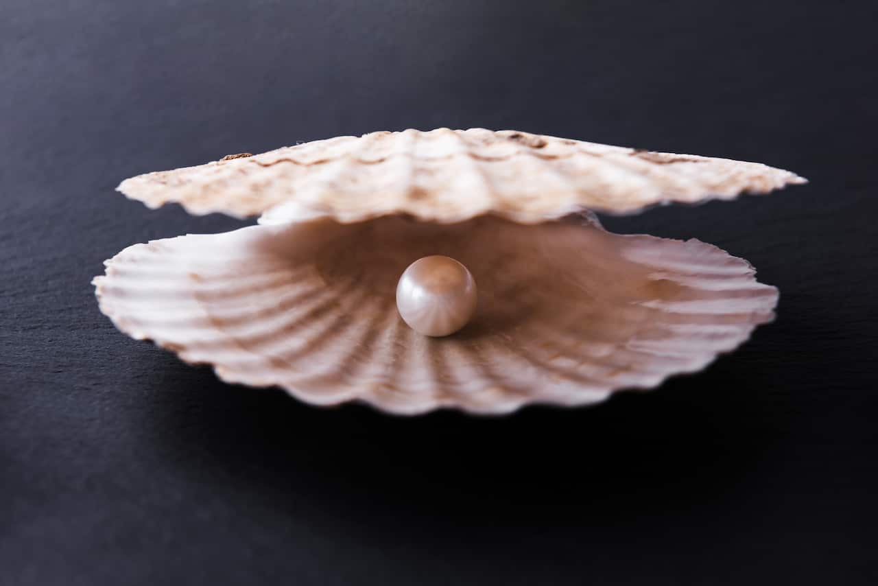 Seashell with pearl