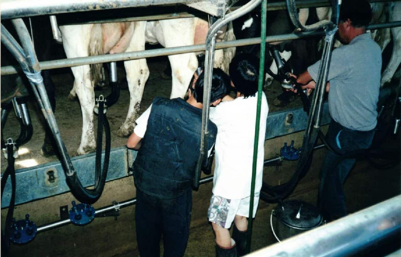 Udder.jpg