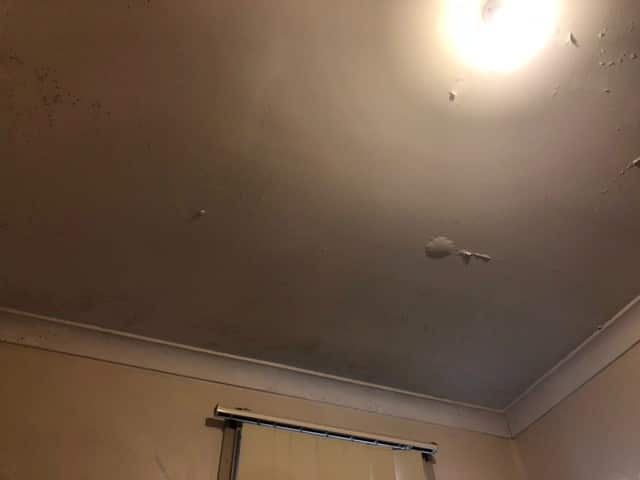 A picture of a ceiling showing water damage and mould growth.
