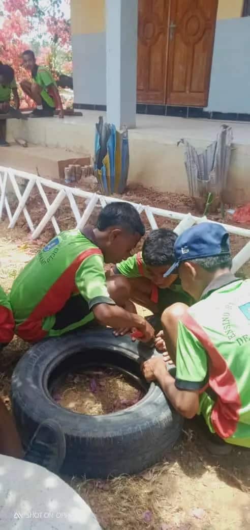 Labarik eskola nain tolu halo hela rexiklu ba roda uzadu