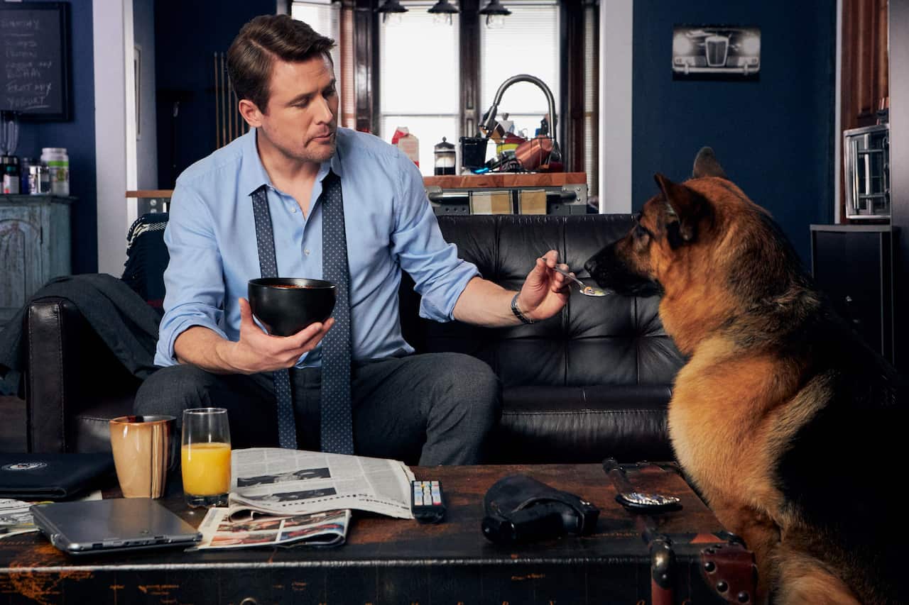 Man eating from a bow holds a spoonful of food out for the dog. 