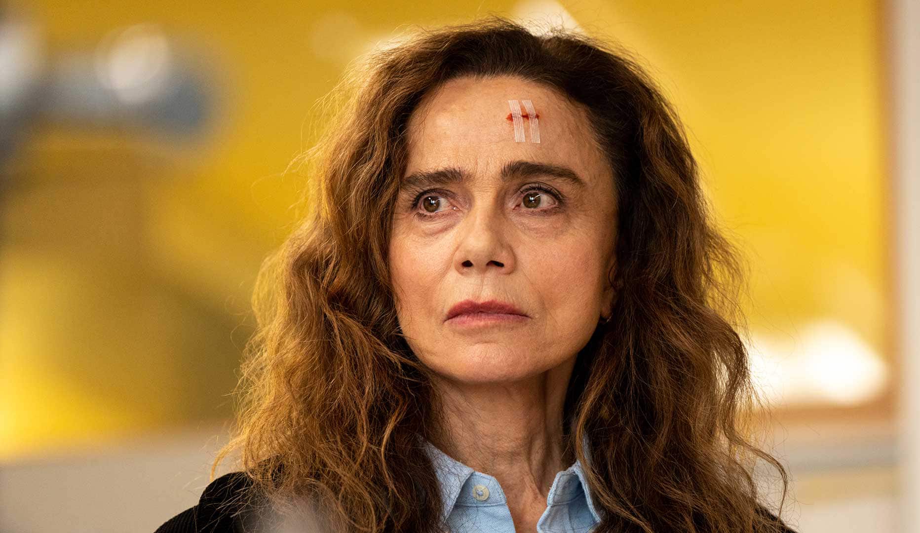 Lena Olin's fiery performance brings light to 'The Darkness' | SBS What's On