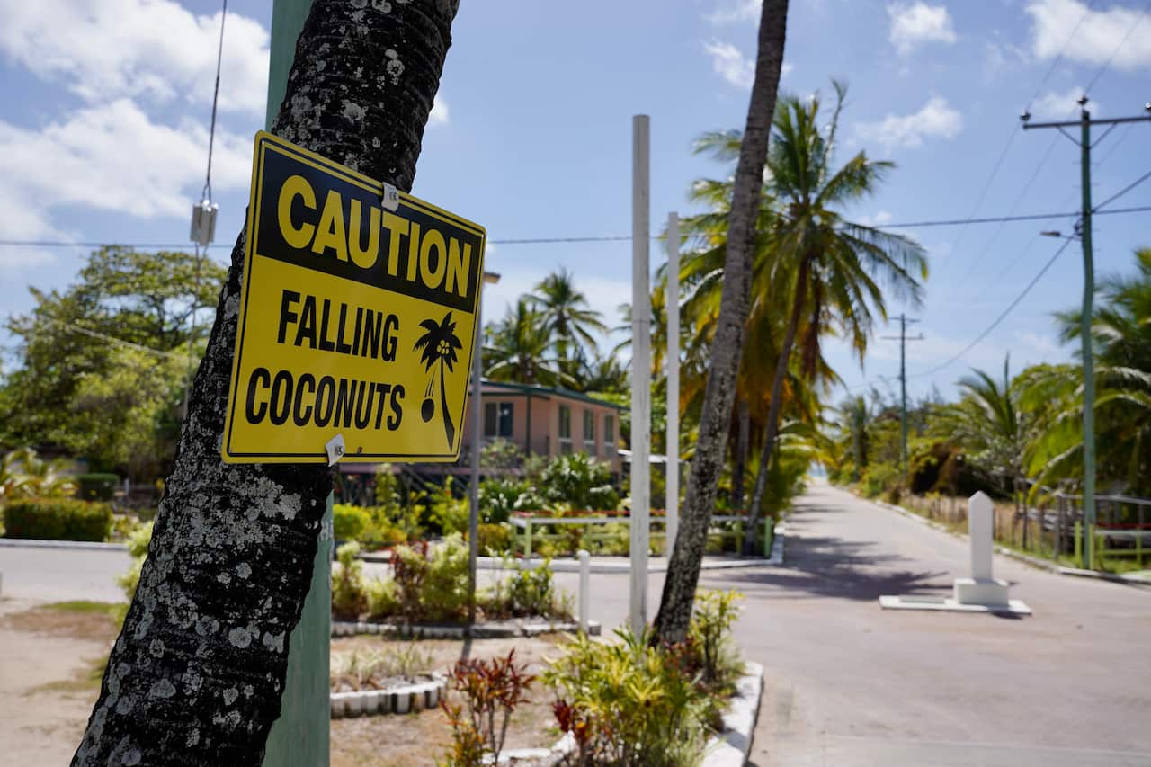 A black and yellow sign on a tree reads "Caution: falling coconuts".